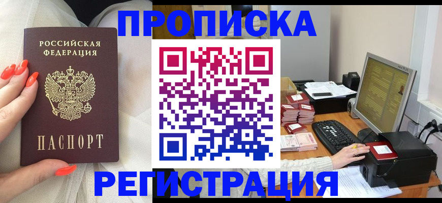 где прописаться в Пестово